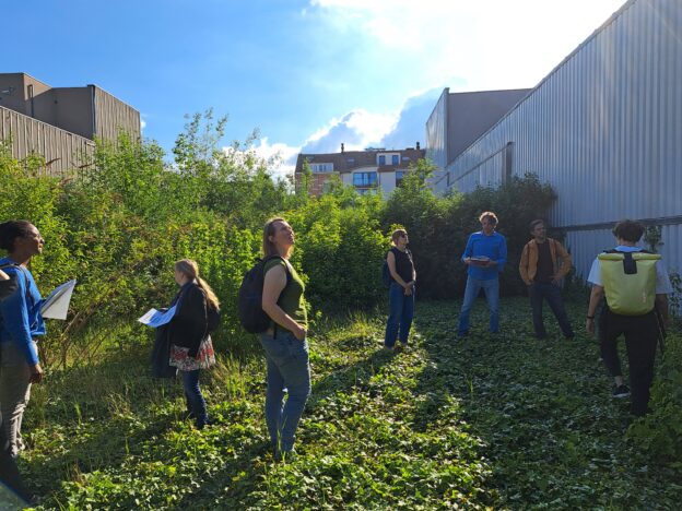 A group of people stand in an unbuilt plot of land in an urban context. Some of them hold maps, and they are intently observing their surroundings.